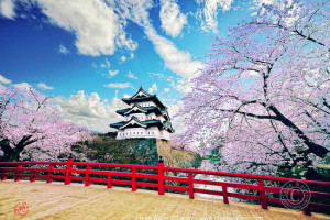 زیباترین قلعه های ژاپنی را ملاقات کنید!
