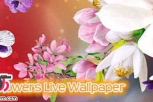 دانلود والپیپر سه بعدی ۳D Flowers Live Wallpaper برای اندروید