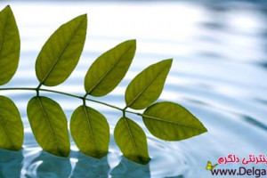 راههایی برای بهتر زیستن
