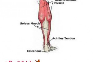تقویت عضلات ساق پا با ۵ تمرین