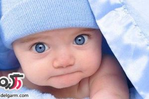 عکس های زیبا و با مزه از نی نی