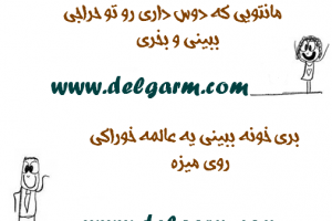 خر شانسی یعنی: سری اول