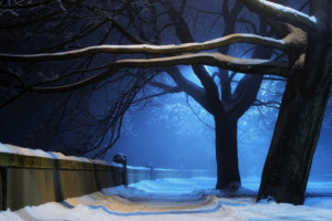 تصاویر زیبا از زمستان سری چهارم