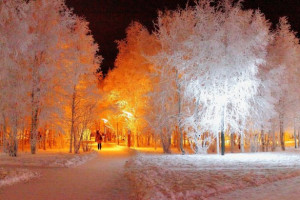 تصاویر زیبا از زمستان سری هفتم