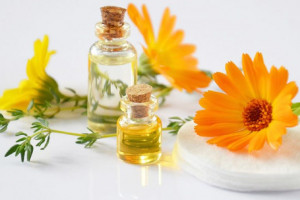 فواید بی نظیر گل کالاندولا برای سلامت بدن