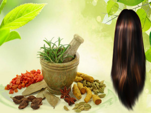 ۶۰ راهکار طب سنتی برای تقویت پیاز مو و درمان ریزش مو سر