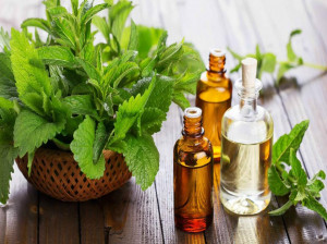 10 مزیت روغن نعناع