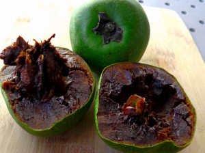 با گیاه ساپوت سیاه (black sapote) بیشتر آشنا شوید
