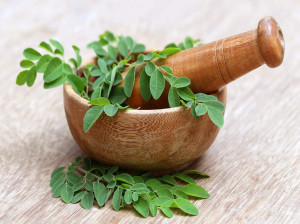همه فواید و خواص گیاه مورینگا اولیفرا