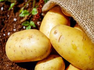 تاثیر فوق العاده سیب زمینی برای زیبایی و جوانی پوست