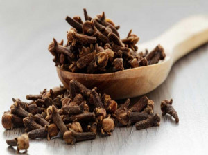 نگاهی به خواص میخک در طب سنتی ایران