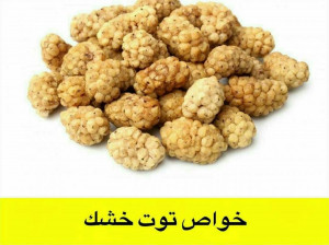 خواص باور نکردنی «توت خشک» برای سلامتی