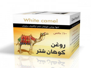 همه چیز در مورد خواص روغن کوهان شتر برای سلامتی بدن