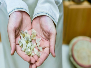 بهترین زمان خوردن کندر در دوران بارداری و روش مصرف آن