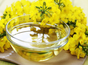 روغن کانولا - حقایقی در خصوص خواص مغذی روغن کانولا