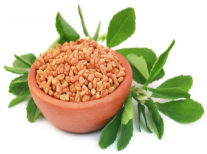 خواص دانه شنبلیله برای مو