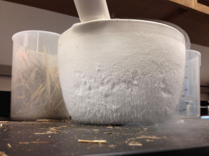 اثرات منفی و مثبت گاز نیتروژن بر زندگی ما