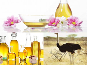 تفاوت روغن شتر مرغ خوراکی با سایر روغن ها در پخت غذا