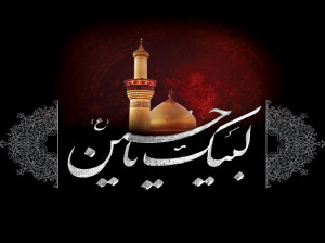 ۱۳ نوحه سینه زنی واحد و شور عاشورا از مداح حاج سید مجید بنی فاطمه