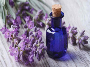 10 خاصیت جادویی روغن اسطوخودوس برای سلامتی