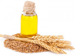 فواید و عوارض مصرف روغن جوانه گندم