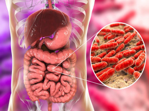 ۴ فایده شگفت انگیز باکتری های روده