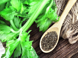۲۰ خاصیت شگفت انگیز تخم کرفس