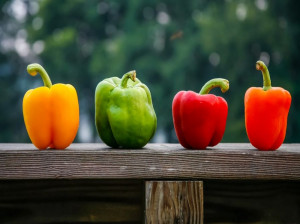 ۱۰ خاصیت باورنکردنی فلفل دلمه ای برای سلامتی