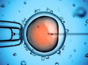 مزایای IVM نسبت به IVF برای درمان ناباروری