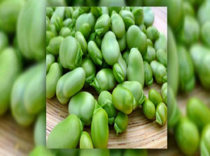 همه چیز در مورد بیماری خطرناک فاویسم