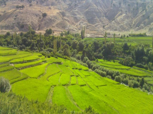 آشنایی با مناطق دیدنی و زیبای کلاردشت