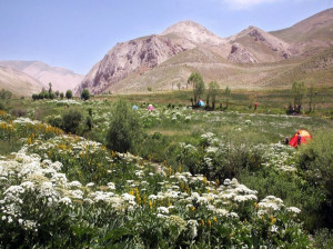 آشنایی با جاذبههای دیدنی و تفریحی فیروزکوه