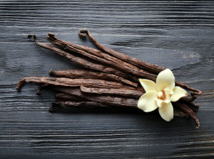 وانیل چیست ؟ چگونه بدست می آید و چه خواصی دارد ؟