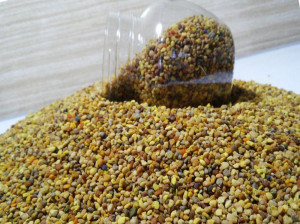 ۱۸ خاصیت دارویی و درمانی گرده گل