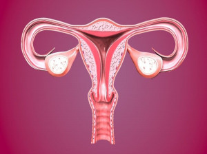 آیا میدانید تفاوت تخمدان پلی کیستیک و تنبلی تخمدان در چیست ؟