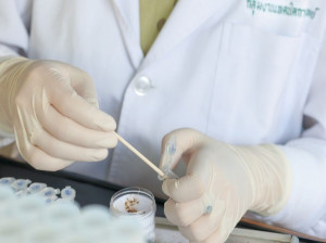 wbc در آزمایش مدفوع نشان دهنده چه بیماریهایی میباشد ؟