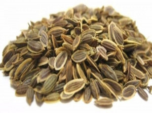 خواص تخم شوید : ۱۵ خاصیت دارویی و درمانی تخم شوید