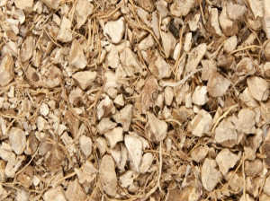 یام وحشی : خواص درمانی گیاه یام وحشی در طب سنتی