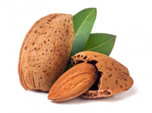 تعبیر خواب بادام : 49 تفسیر و تعبیر دیدن بادام در خواب