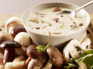 روش صحیح شستشو و نگهداری قارچ در یخچال