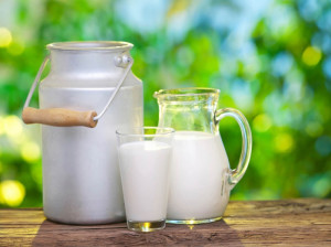 نکات مهم و اساسی درباره شیر کم چرب و پرچرب