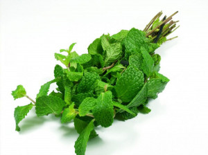 خواص دارویی و درمانی برگ نعناع