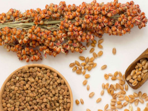 نحوه پخت ذرت خوشه ای چگونه است؟