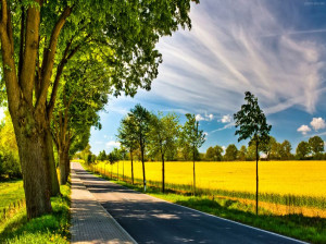 شعر تابستان | زیباترین شعرهای طنز و کودکانه درباره تابستان