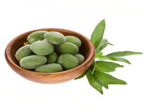 هر آنچه که باید از چغاله بادام بدانید!