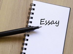 Essay چیست و چه کاربردی دارد ؟
