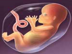 گاهی باید از جنین نوار قلب گرفت