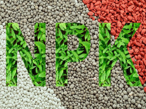 مواد تشکیل دهنده کود کامل NPK چیست؟