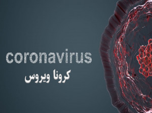 ویروس کرونا: همه آنچه که باید از کرونا بدانید !