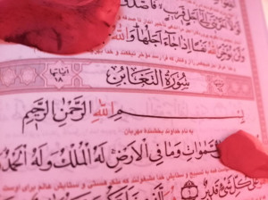 فضیلت و خواص سوره تغابن قرآن کریم + رازهای این سوره